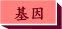 基因配對